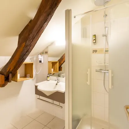 Hotel Le Vert Galant La Fleche