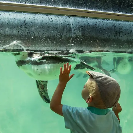 Logis Le Galant 3* 라플레슈