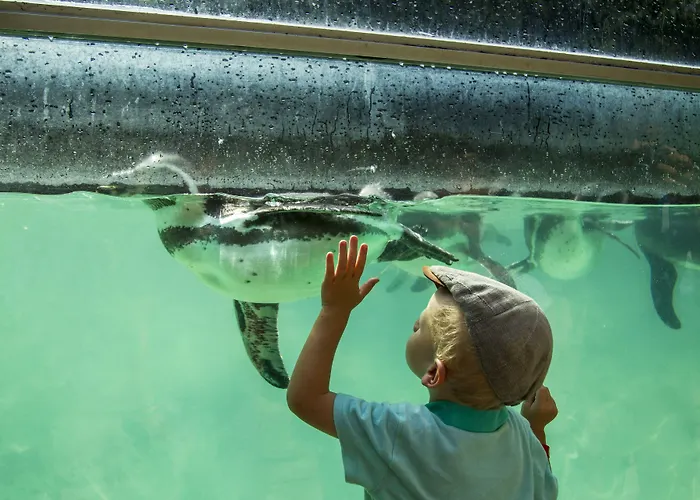 Logis Le Galant 3* La Flèche